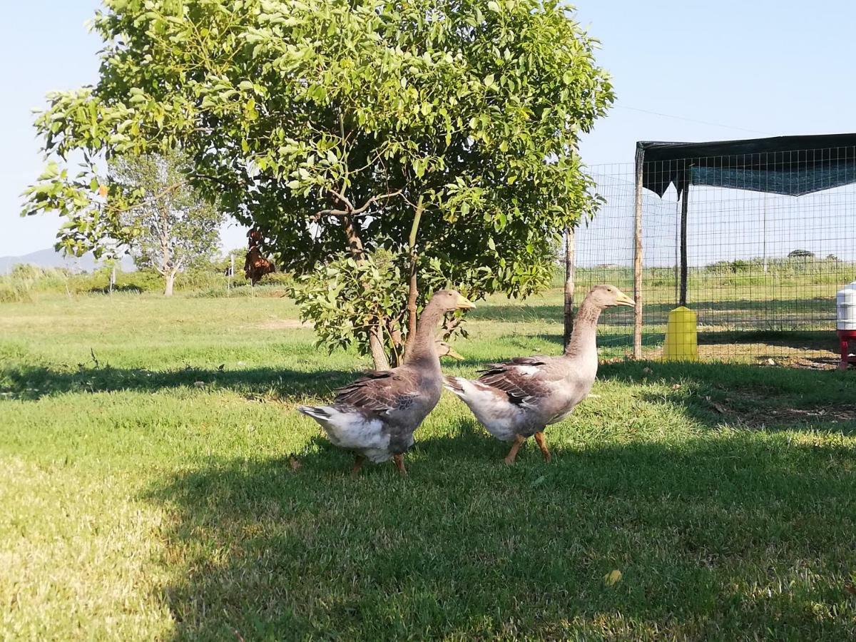 Agriturismo Le Folaghe Террачина Экстерьер фото